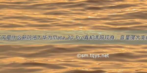 这又是什么新玩法？华为Mate 30 Pro真机谍照现身：音量键大变样