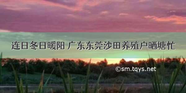 连日冬日暖阳 广东东莞沙田养殖户晒塘忙