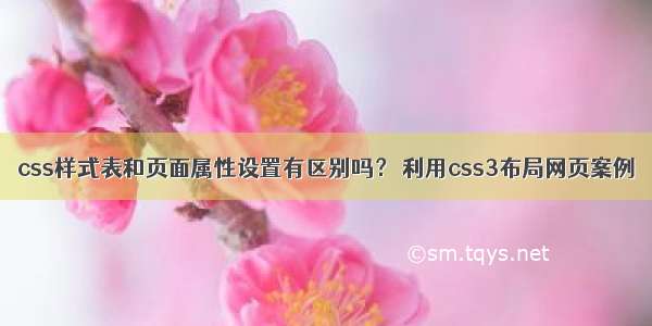 css样式表和页面属性设置有区别吗？ 利用css3布局网页案例