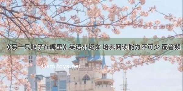 《另一只鞋子在哪里》英语小短文 培养阅读能力不可少 配音频