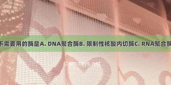 重组DNA技术不需要用的酶是A. DNA聚合酶B. 限制性核酸内切酶C. RNA聚合酶D. DNA连接酶