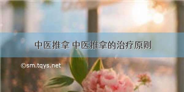 中医推拿 中医推拿的治疗原则