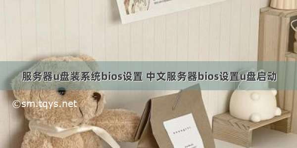 服务器u盘装系统bios设置 中文服务器bios设置u盘启动