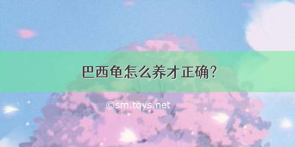 巴西龟怎么养才正确？