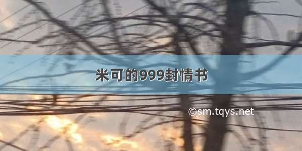 米可的999封情书