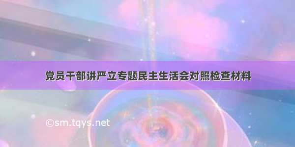 党员干部讲严立专题民主生活会对照检查材料