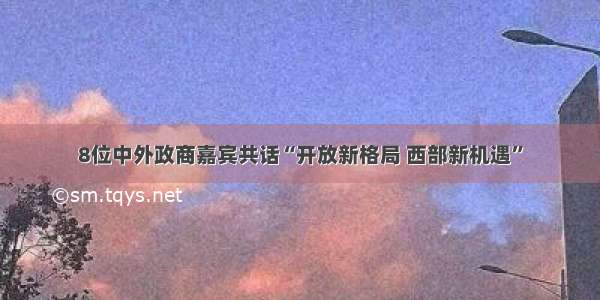 8位中外政商嘉宾共话“开放新格局 西部新机遇”