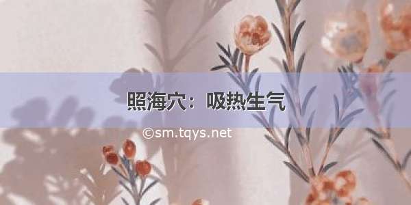 照海穴：吸热生气