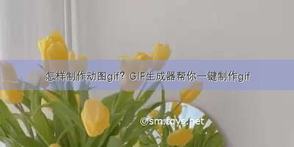 怎样制作动图gif？GIF生成器帮你一键制作gif