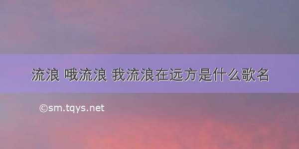 流浪 哦流浪 我流浪在远方是什么歌名