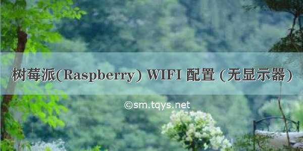 树莓派(Raspberry) WIFI 配置 (无显示器)