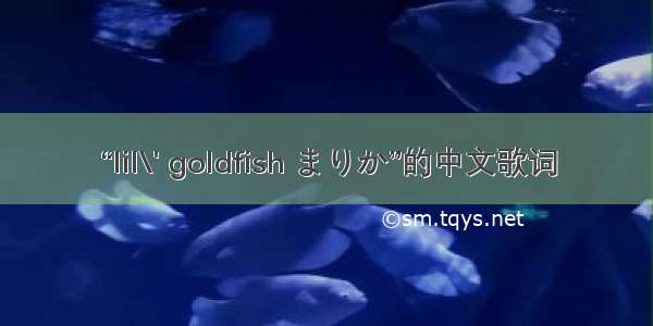 “lil\' goldfish まりか”的中文歌词