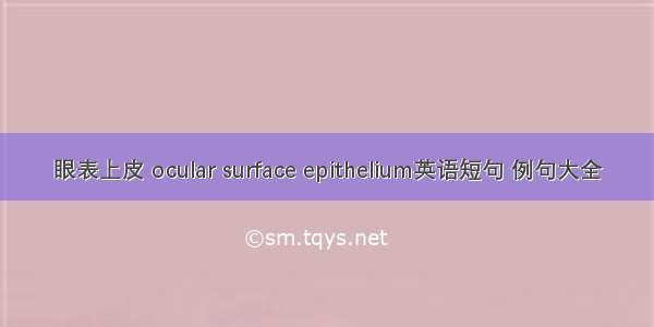 眼表上皮 ocular surface epithelium英语短句 例句大全