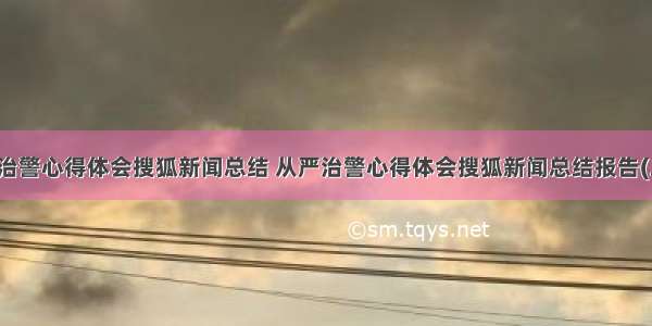 从严治警心得体会搜狐新闻总结 从严治警心得体会搜狐新闻总结报告(二篇)