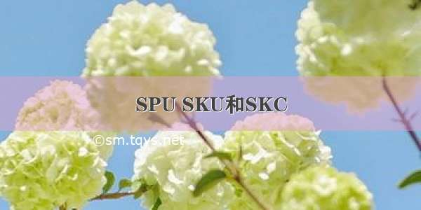 SPU SKU和SKC