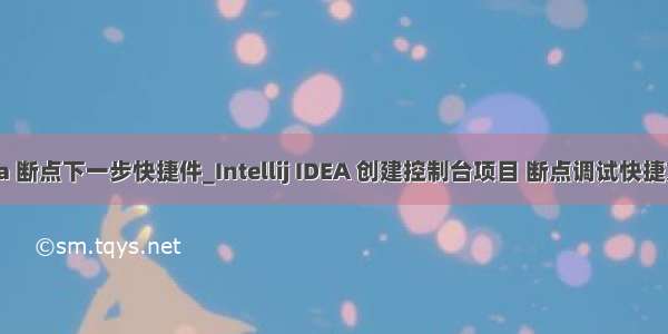 idea 断点下一步快捷件_Intellij IDEA 创建控制台项目 断点调试快捷方式