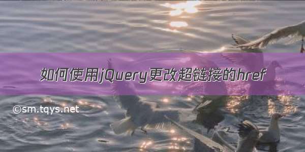 如何使用jQuery更改超链接的href