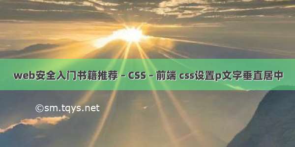 web安全入门书籍推荐 – CSS – 前端 css设置p文字垂直居中