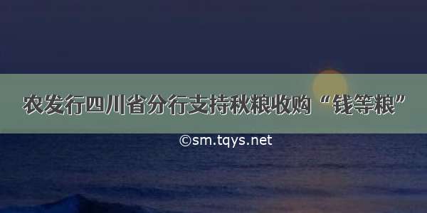 农发行四川省分行支持秋粮收购“钱等粮”