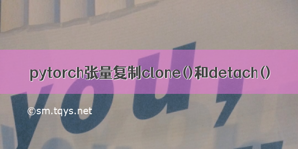 pytorch张量复制clone()和detach()