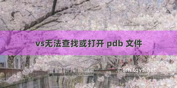 vs无法查找或打开 pdb 文件