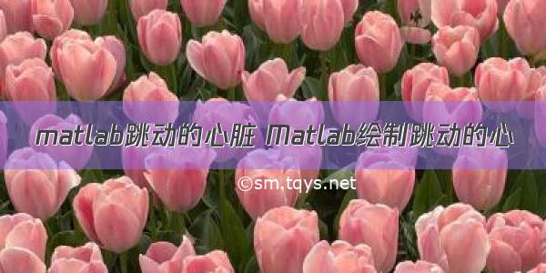 matlab跳动的心脏 Matlab绘制跳动的心