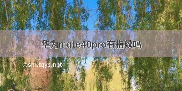 华为mate40pro有指纹吗