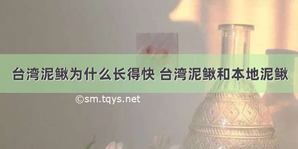 台湾泥鳅为什么长得快 台湾泥鳅和本地泥鳅