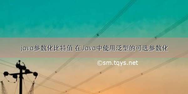 java参数化比特值 在Java中使用泛型的可选参数化