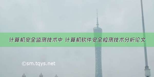 计算机安全监测技术中 计算机软件安全检测技术分析论文