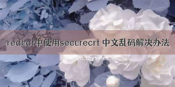 redhat中使用securecrt 中文乱码解决办法