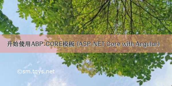 开始使用ABP.CORE模板 (ASP.NET Core with Angular)