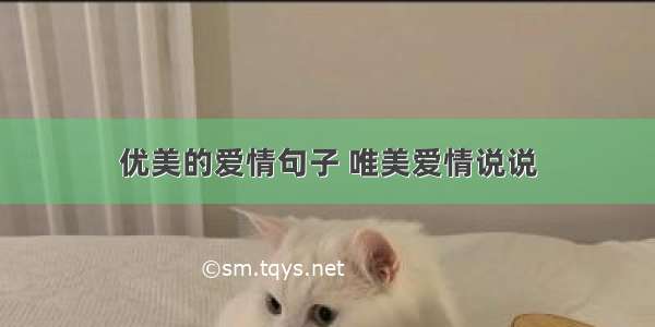 优美的爱情句子 唯美爱情说说