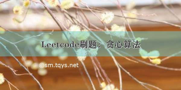 Leetcode刷题：贪心算法