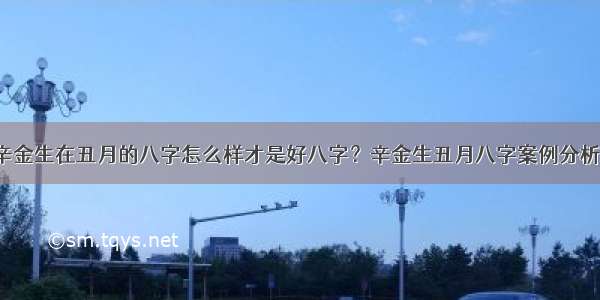 辛金生在丑月的八字怎么样才是好八字？辛金生丑月八字案例分析。