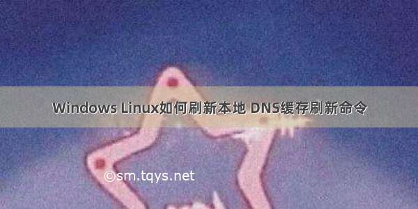 Windows Linux如何刷新本地 DNS缓存刷新命令