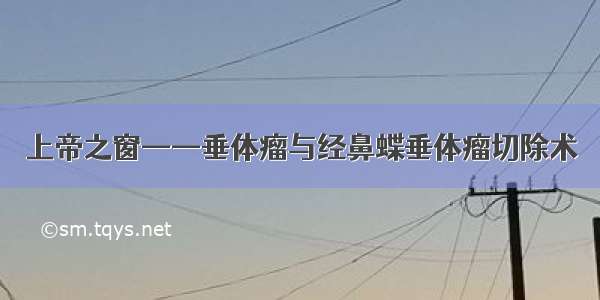 上帝之窗——垂体瘤与经鼻蝶垂体瘤切除术