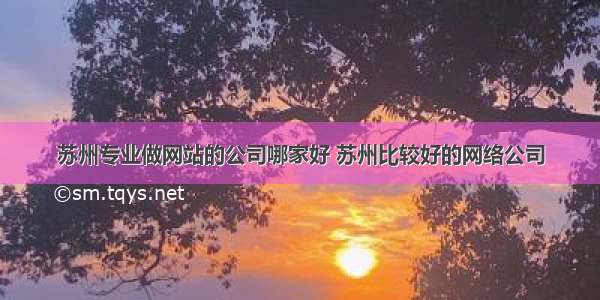 苏州专业做网站的公司哪家好 苏州比较好的网络公司