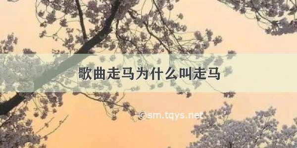 歌曲走马为什么叫走马