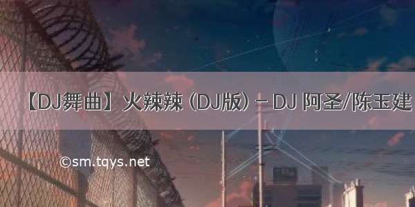 【DJ舞曲】火辣辣 (DJ版) - DJ 阿圣/陈玉建