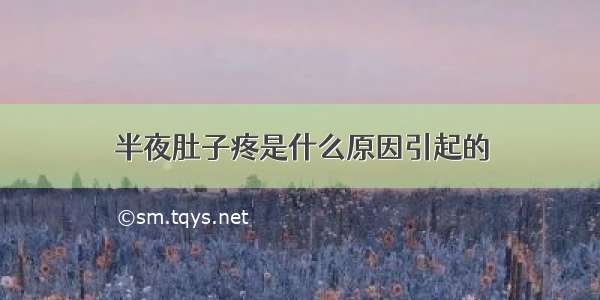 半夜肚子疼是什么原因引起的