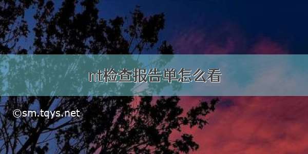 nt检查报告单怎么看