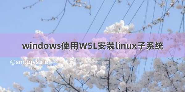 windows使用WSL安装linux子系统