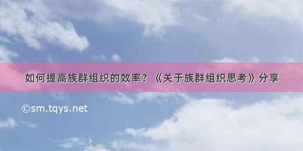 如何提高族群组织的效率？《关于族群组织思考》分享