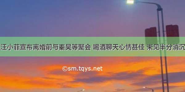 汪小菲宣布离婚前与秦昊等聚会 喝酒聊天心情甚佳 未见半分消沉