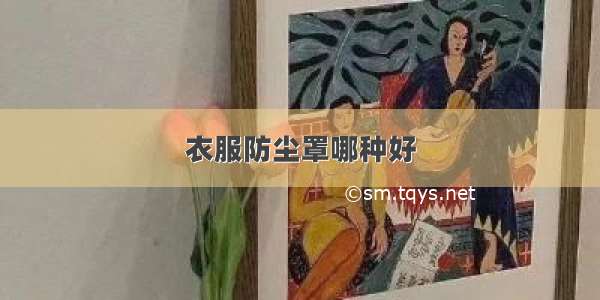 衣服防尘罩哪种好