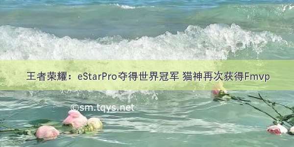 王者荣耀：eStarPro夺得世界冠军 猫神再次获得Fmvp