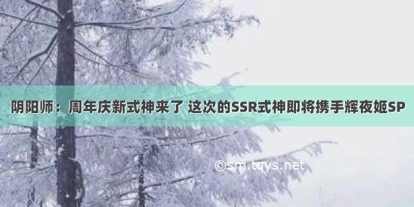 阴阳师：周年庆新式神来了 这次的SSR式神即将携手辉夜姬SP