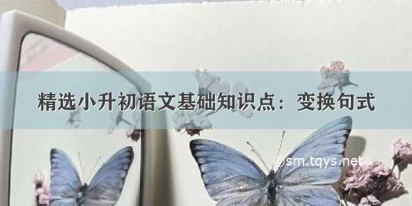 精选小升初语文基础知识点：变换句式