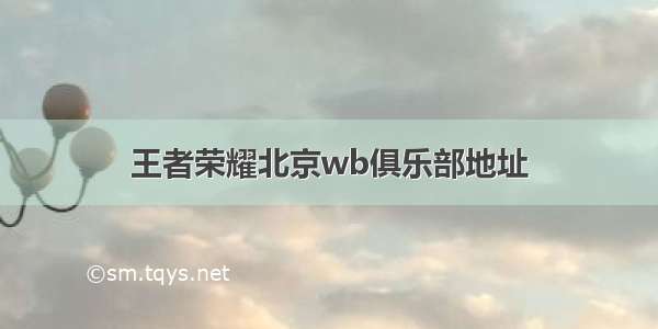 王者荣耀北京wb俱乐部地址